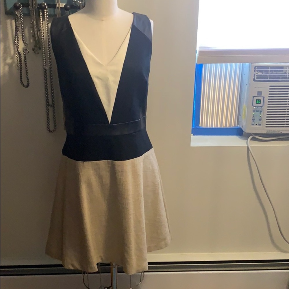 Ann taylor dress